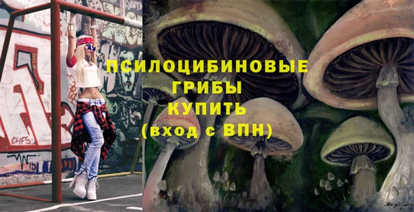 гашик Бородино