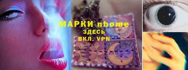 гашик Бородино