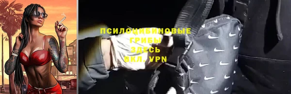 гашик Бородино