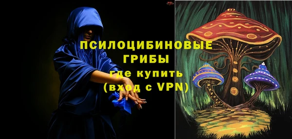 ГАЛЛЮЦИНОГЕННЫЕ ГРИБЫ Бугульма