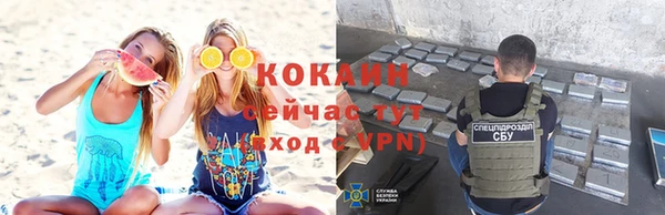 гашик Бородино