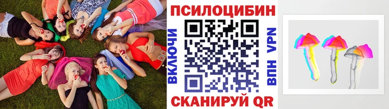 Псилоцибиновые грибы мицелий купить наркотики сайты Грязи